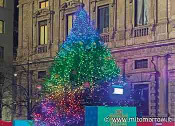 Natale degli alberi: Marco Balich illumina Milano - Mi-Tomorrow