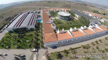 Studio Biogem, prima firma Marco Colella. Si guarda ai mitocondri come organello chiave dell'invecchiamento ovarico - Orticalab