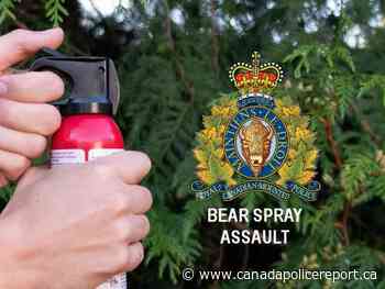St. Albert RCMP Investigate Assault With A Weapon; “multiple people had been bear sprayed at the St. Albert Community Hall” - Canada Police Report