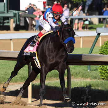 Kentucky Derby winner Medina Spirit collapses, dies in California