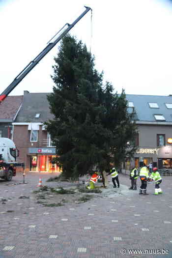 Kerstboom uit de provincie Luik in Brakel - NUUS