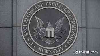 SEC watchdog kept on job despite 'serious misconduct': Reuters