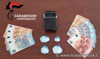 Termoli, concorso in spaccio e detenzione stupefacenti: due arresti - Molise News 24