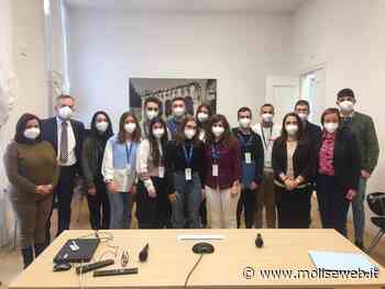 ECONOMIA COMPORTAMENTALE: IL BOCCARDI TIBERIO DI TERMOLI TRA LE 4 SCUOLE ITALIANE CHE STUDIA CON BANCA D&RSQUO;ITALIA - Molise Web