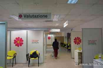 Vaccini: Asp Enna, gli orari dei centri in città e provincia - Agenzia ANSA