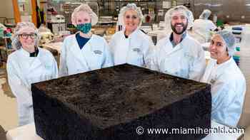 ‘World’s largest’ pot brownie — ‘a scrumptious monster’ — to be sold to medical patient - Miami Herald
