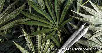 Letter: Please support medical marijuana petition | Letters to the Editor | thesheridanpress.com - The Sheridan Press