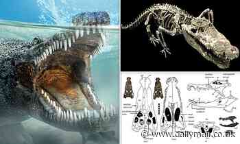 Fossils: Terrifying 14ft-long 'uncle' of modern crocodiles roamed Wyoming 155 million years ago