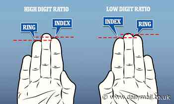 Women with an index finger shorter than their ring finger may be STRONGER, study claims 