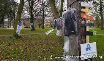 Minder bedeelde Haarlemmers kunnen winterjassen uit de boom plukken - Haarlems Weekblad
