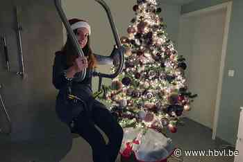 COLUMN SHANNA WOUTERS: Van de grond voor de boom - Het Belang van Limburg