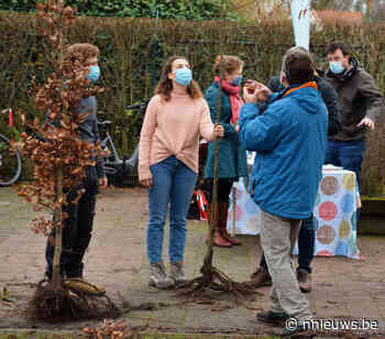 Iedere burger een boom: 125 bomen verhuizen naar privétuinen in Mol - Nnieuws.be