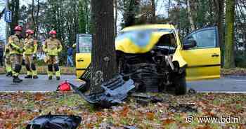 Man (40) raakt zwaargewond bij botsing tegen boom in Tilburg - BD.nl