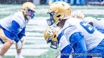 Cold, snowy, Sunday for Winnipeg Blue Bombers Western Final - KenoraOnline.com