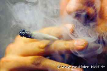Polizei findet Marihuana für 500 Joints - Westfalen-Blatt
