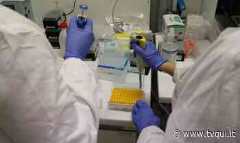 AGGIORNAMENTO COVID: 1350 CASI IN REGIONE. A MODENA 191 MALATI - Tvqui