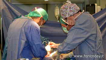 Tumore gastrico, uno studio sull'asse Forlì-Modena: obiettivo diminuire il rischio di mortalità - ForlìToday