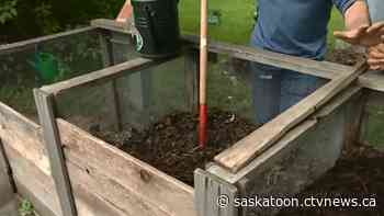 Saskatoon to ban home composting outside property line - CTV News Saskatoon