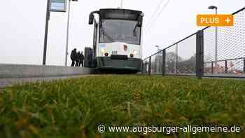 Teure Öko-Sünde oder guter Lärmschutz? Streit um Rollrasen geht weiter - Augsburger Allgemeine