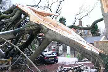 Storm Arwen power cuts 'made worse by wind from unusual direction' - Ealing Times