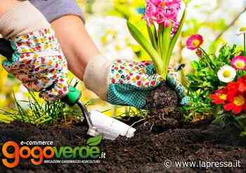Gogoverde: da Soliera in tutto il mondo con un click - La Pressa