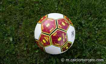 Pro Vercelli, UFFICIALE: esonerato Scienza - Calciomercato.com