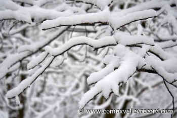 All School District 71 schools closed Monday due to snow - Comox Valley Record