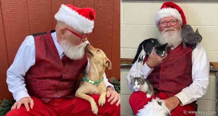 Bastrop animal shelter offering adoption special after hitting 'crisis capacity'