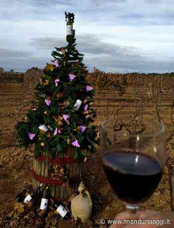 MANDURIA - L'albero di Natale della famiglia Prisciano-Malorgio: ambientato nelle terre culle del Primitivo, l'albero diventa teatro di emozioni e di poesia - ManduriaOggi