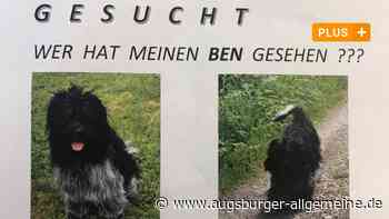 Skurriler Prozess: Augsburger raubt den Hund seiner Mutter