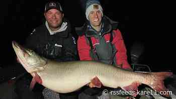 State record confirmed for Mille Lacs Lake muskie