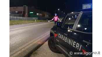 Due quintali di “erba“ tra l’insalata - IL GIORNO