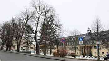 Sechs Linden werden am Landratsamt in Schleiz gefällt - Ostthüringer Zeitung
