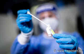 Zu früh gejubelt: Niedriger Inzidenzwert im Landkreis ist falsch - Stade - Tageblatt-online