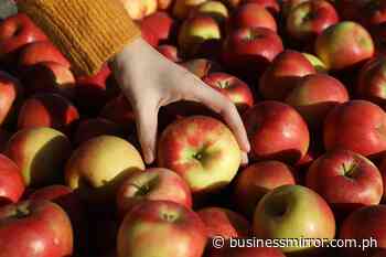 'Pandemic prompts Pinoys to eat more fruits' | Jasper Y. Arcalas - Business Mirror