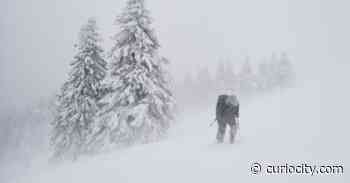 A winter storm warning has been issued for Banff & Jasper National Parks - Curiocity