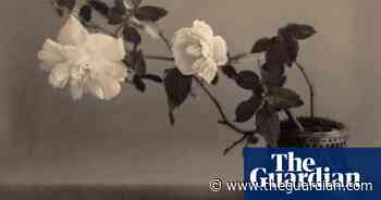 Rising again: forgotten Japanese American photography – in pictures