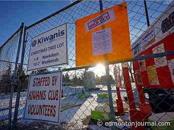 Christmas trees sell out 'in record time' as some Edmonton vendors deal with shortages - Edmonton Journal