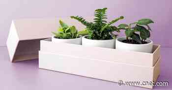 Top 10 gifts for teens in 2021     - CNET