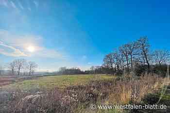 Detert nimmt erste Hürde in Detmold - Westfalen-Blatt