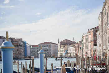 Venice Cocktail Week: la settimana del bere di qualità approda in Laguna - Agrodolce