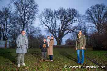 Lummen krijgt Sterrenbos om overleden kindjes te herdenken