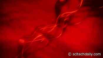Scientists Identify Factor in “Young Blood” That Helps Rejuvenate Aging Muscle