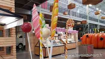 Arras : la nouvelle exposition de Cité Nature, pour savourer et comprendre ce qu'il y a dans nos assiettes - La Voix du Nord