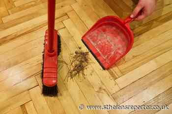 Experts spill the beans on cleaning up festive mess - St Helens Reporter