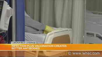 Study: Infection plus vaccination create better antibodies