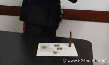 Droga e un proiettile da guerra: giovane denunciato a Formia - h24 notizie - portale indipendente di news dalla provincia - h24 notizie