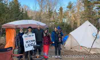 Nova Scotians camp out to save small but mighty patch of forest - National Observer