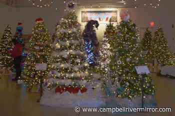 Campbell River Museum hosts marvelous forest of Christmas trees – Campbell River Mirror - Campbell River Mirror