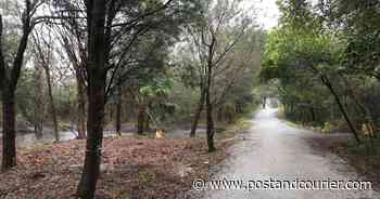 Editorial: Sullivan's should act on new advice to spare its forest from radical pruning - Charleston Post Courier